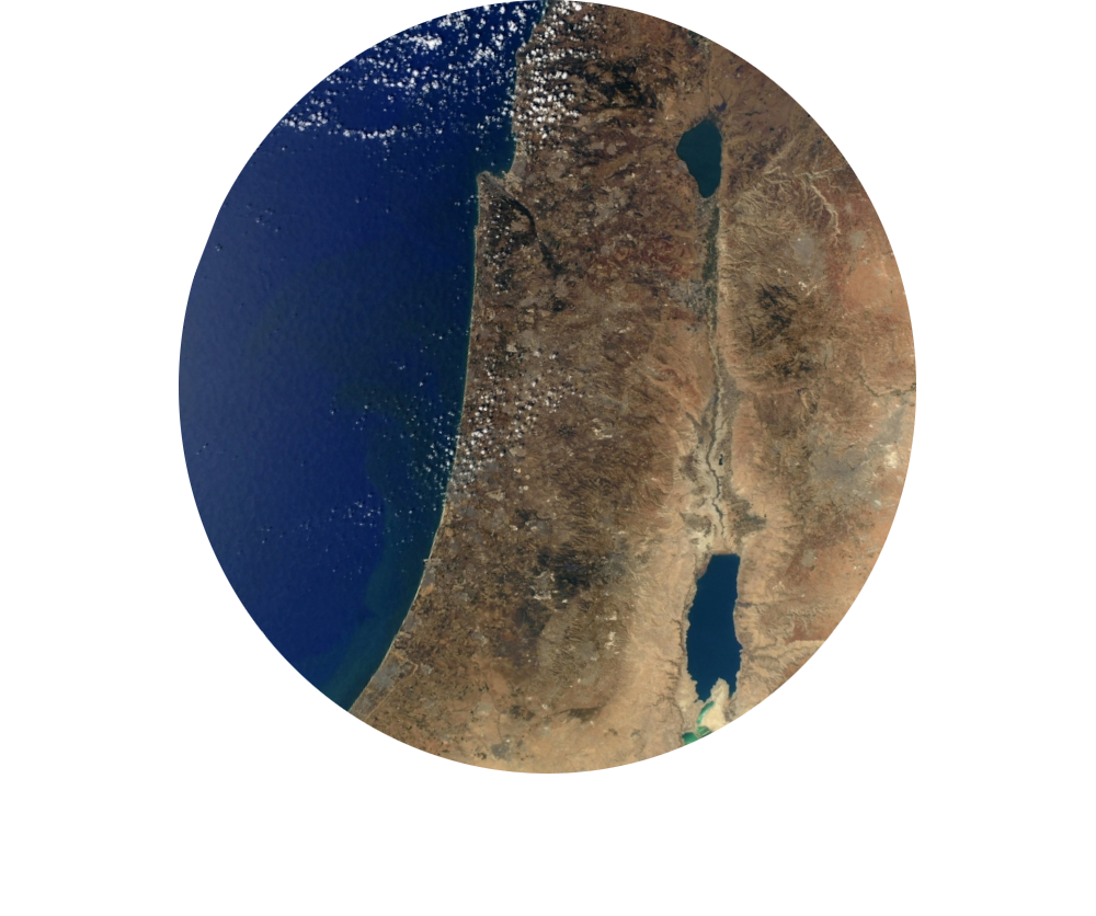 Book. Land. City
